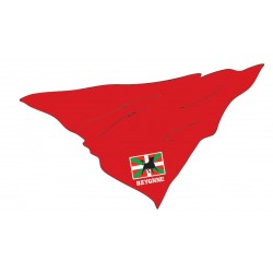 Foulard drapeau basque